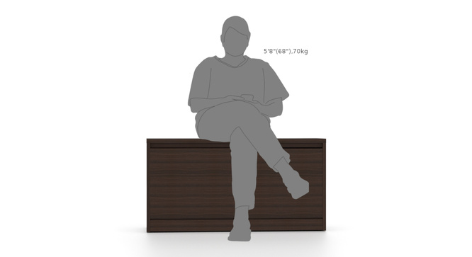 Portain Shoe Cabinet With Seating (Dark Walnut)
